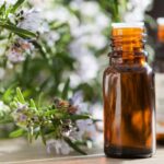 Comment choisir une huile essentielle