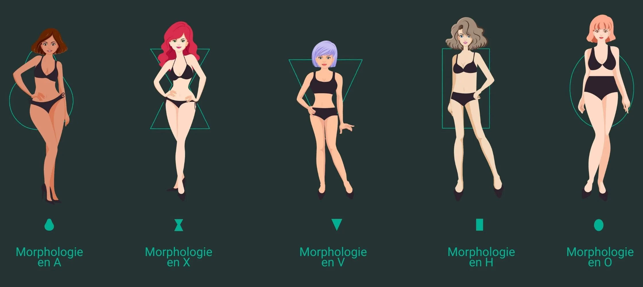 Comment connaître sa morphologie