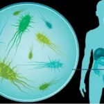 La révolution du Microbiome